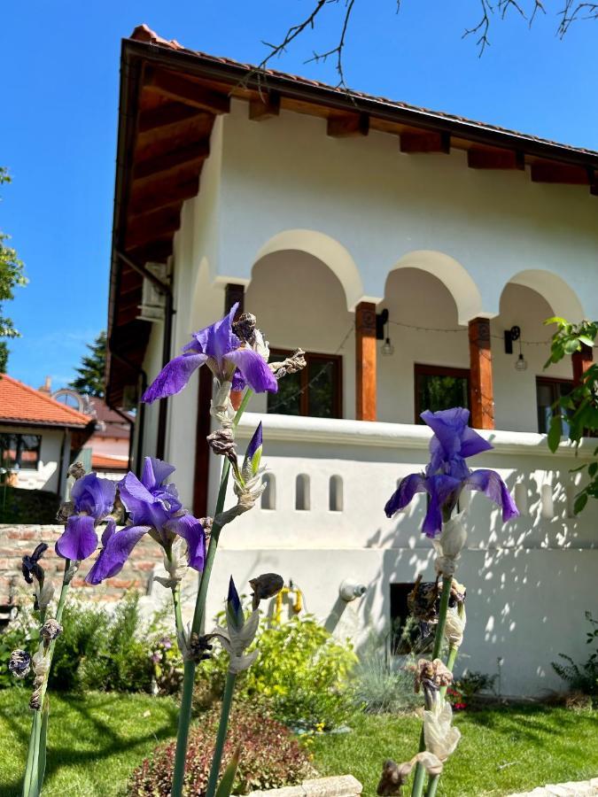 Conacul Grigorescu Ratesti Exteriér fotografie