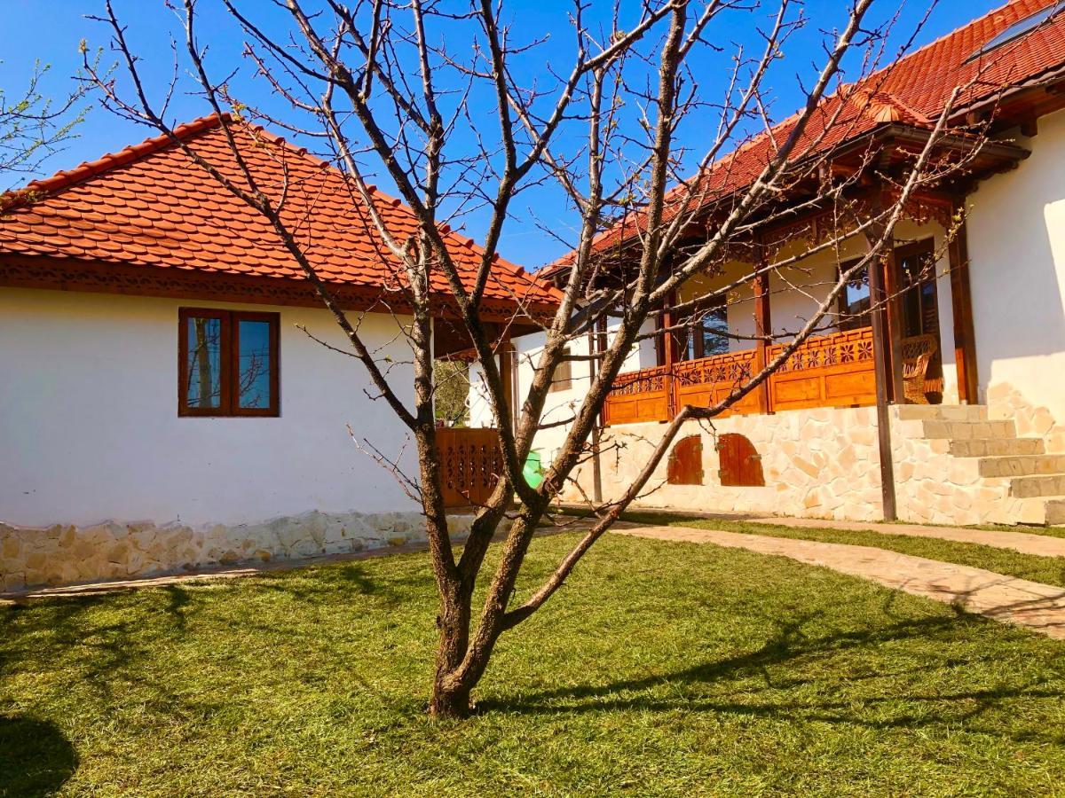 Conacul Grigorescu Ratesti Exteriér fotografie
