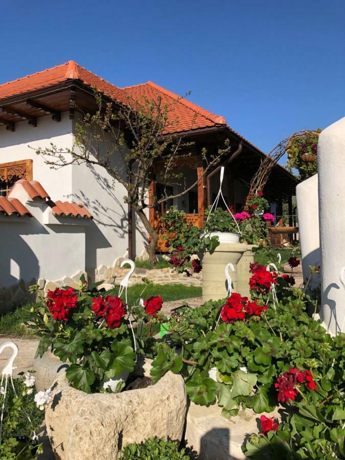 Conacul Grigorescu Ratesti Exteriér fotografie